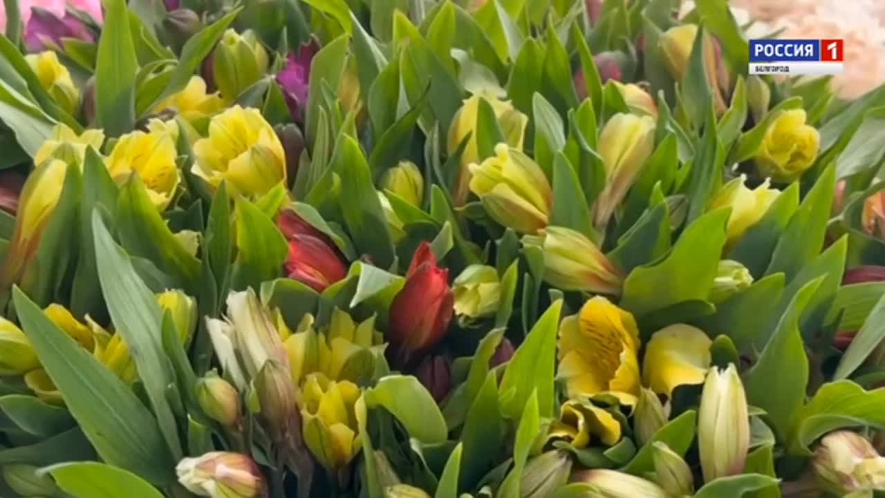 А завтра уже весна! Пока природа только собирается просыпаться, мы побывали там, где всегда – красота и яркая симфония цветочных ароматов