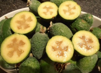 ������: ���������� �������� ��� ������ ��������