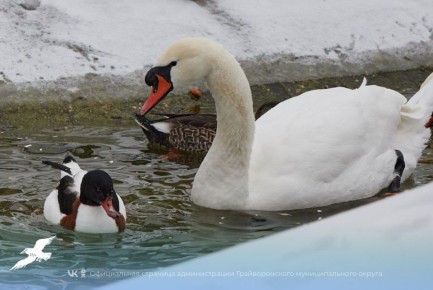 Друзья, чувствуете? Завтра весна!