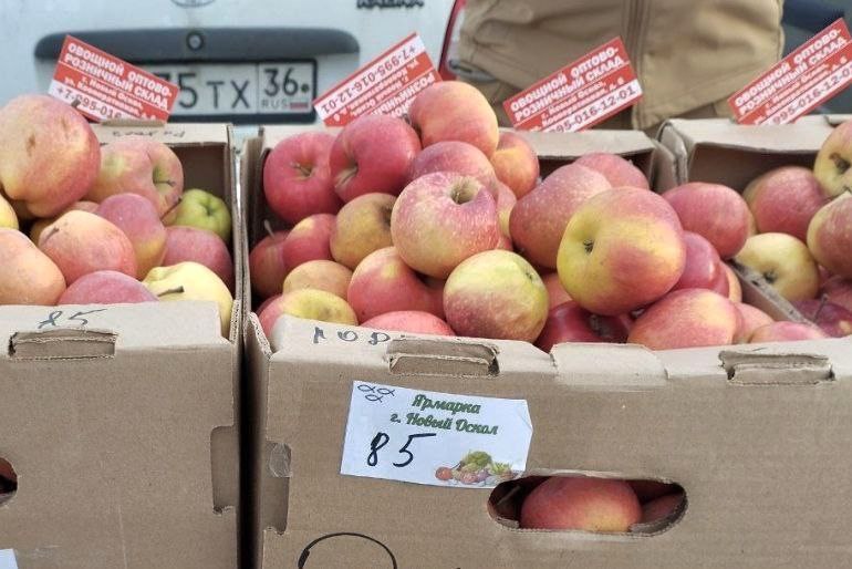 Андрей Миськов: Состоялась очередная ярмарка выходного дня Андрей Миськов: Состоялась очередная ярмарка выходного дня