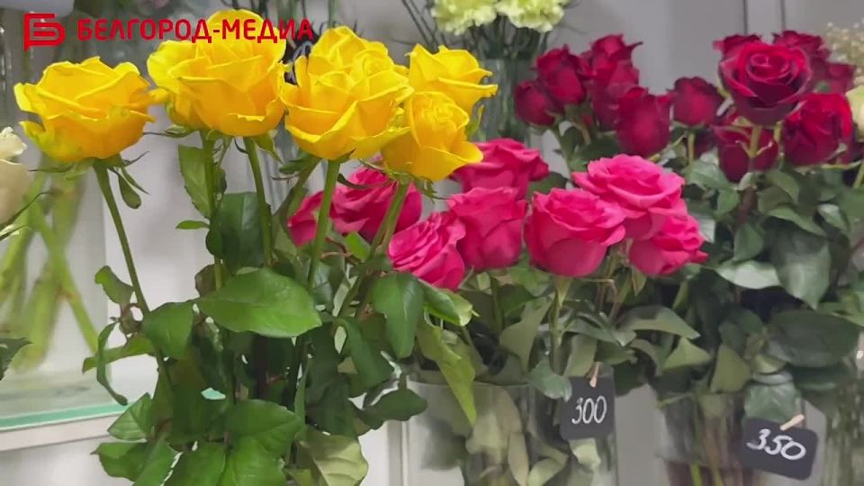 �� ������ ��������� ��������� ���� ������ ������, �� ������������ ���������� ��� ������ ���������� �������