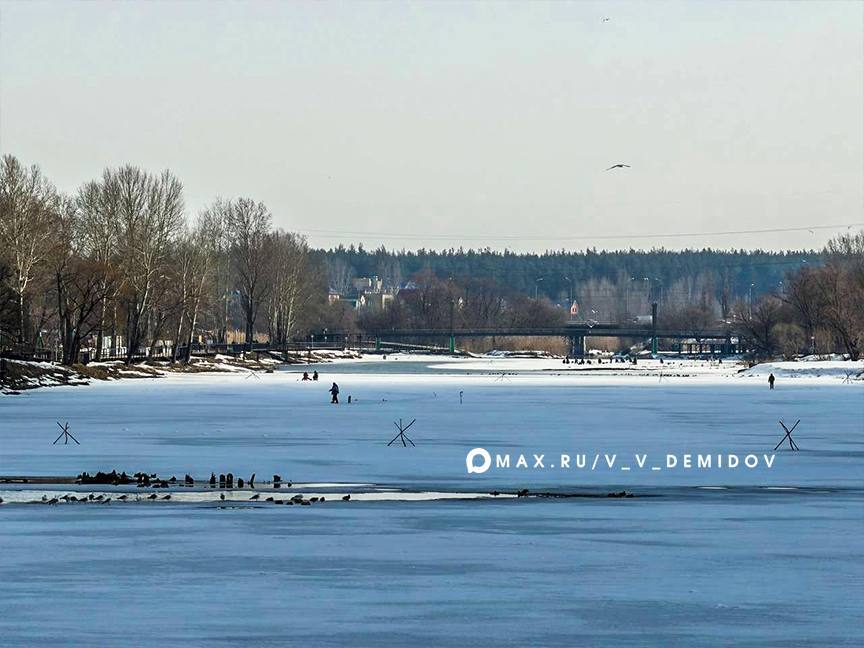 Валентин Демидов: Спасатели Управления ГО ЧС усилили контроль на водоемах Белгорода Валентин Демидов: Спасатели Управления ГО ЧС усилили контроль на водоемах Белгорода