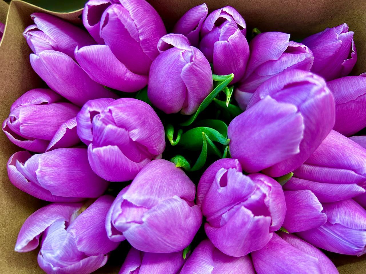 Сегодня наступил долгожданный первый день весны! После долгой зимы природа пробуждается, солнце светит ярче, воздух наполняется свежестью и надеждой на лучшее будущее Сегодня наступил долгожданный первый день весны! После долгой зимы природа пробуждается, солнце светит ярче, воздух наполняется свежестью и надеждой на лучшее будущее