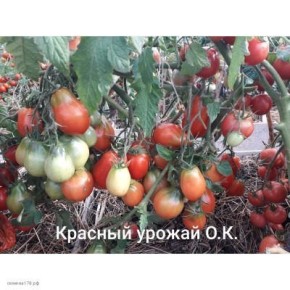 ����� ������� ������: ��� �������� ������� ��� ��������� �����