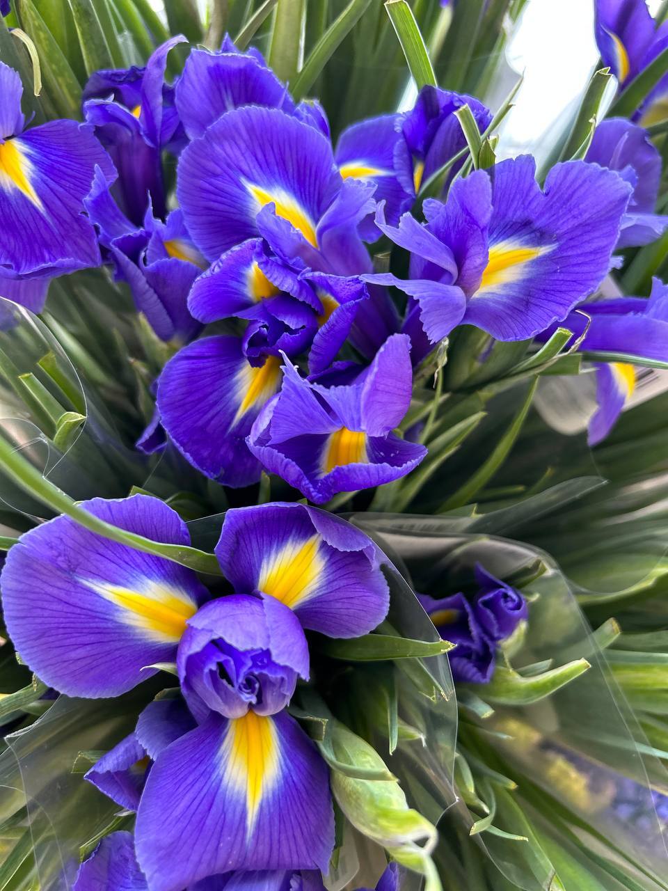 Сегодня наступил долгожданный первый день весны! После долгой зимы природа пробуждается, солнце светит ярче, воздух наполняется свежестью и надеждой на лучшее будущее Сегодня наступил долгожданный первый день весны! После долгой зимы природа пробуждается, солнце светит ярче, воздух наполняется свежестью и надеждой на лучшее будущее