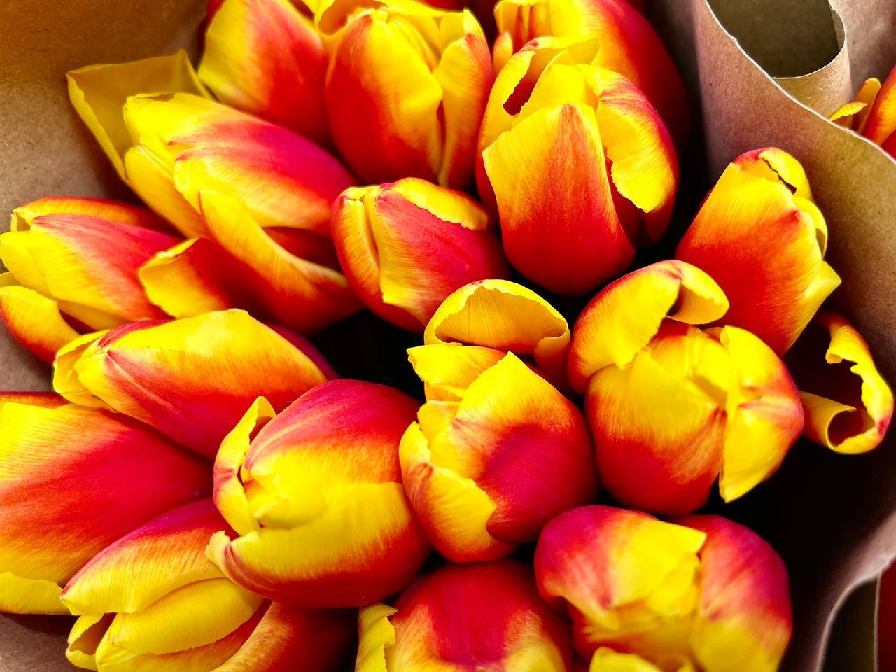 Сегодня наступил долгожданный первый день весны! После долгой зимы природа пробуждается, солнце светит ярче, воздух наполняется свежестью и надеждой на лучшее будущее Сегодня наступил долгожданный первый день весны! После долгой зимы природа пробуждается, солнце светит ярче, воздух наполняется свежестью и надеждой на лучшее будущее