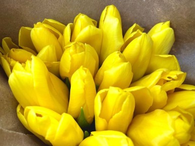 ������� �������� ������������ ������ ���� �����! ����� ������ ���� ������� ������������, ������ ������ ����, ������ ����������� ��������� � �������� �� ������ �������