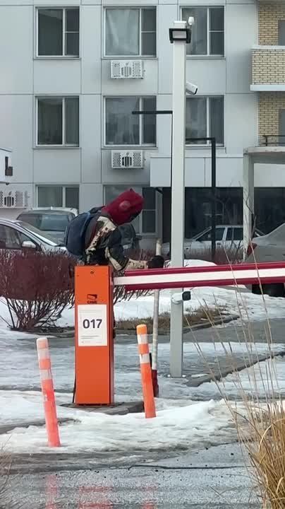 Супергерои приближают весну в Белгороде