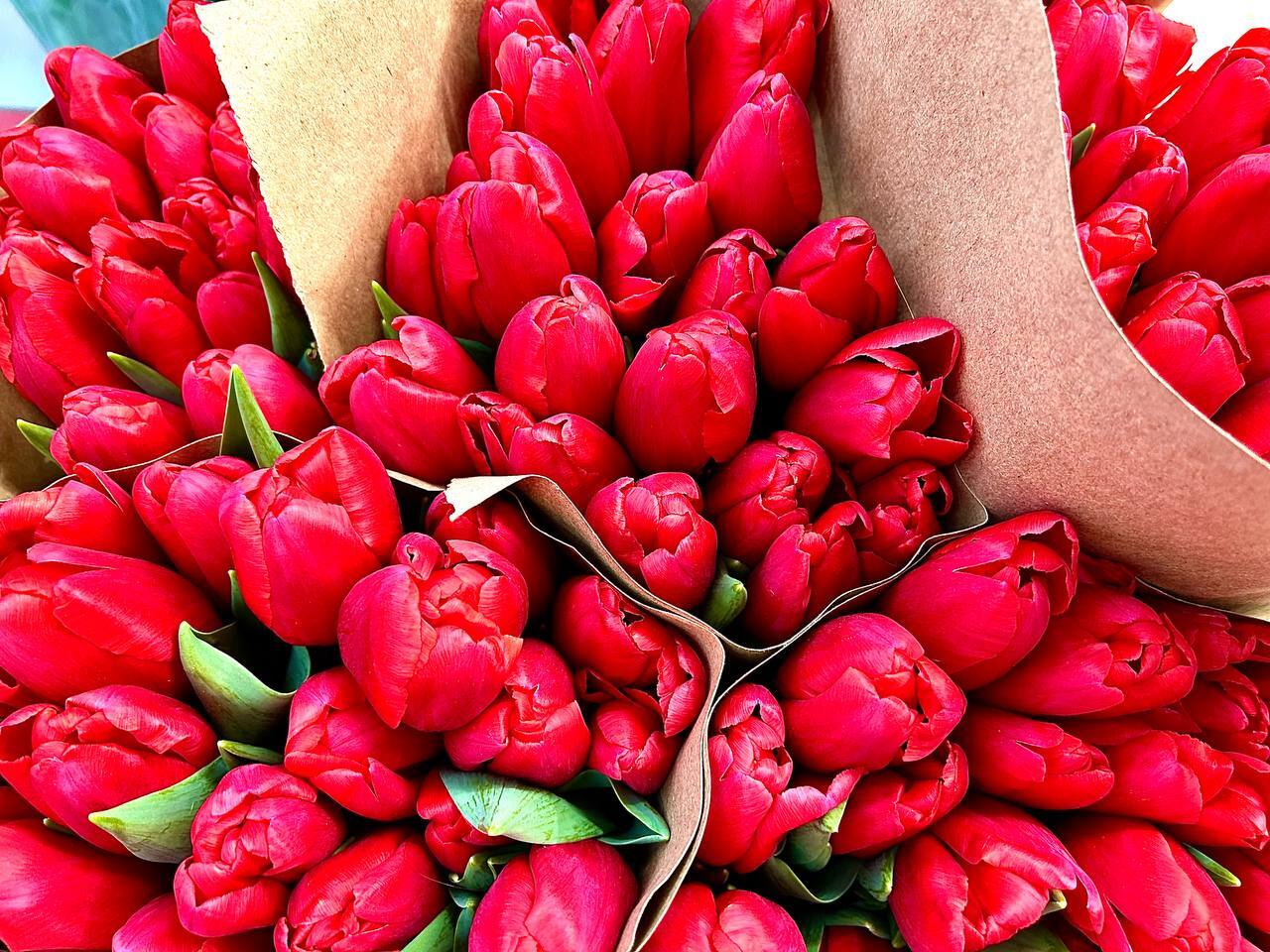 Сегодня наступил долгожданный первый день весны! После долгой зимы природа пробуждается, солнце светит ярче, воздух наполняется свежестью и надеждой на лучшее будущее Сегодня наступил долгожданный первый день весны! После долгой зимы природа пробуждается, солнце светит ярче, воздух наполняется свежестью и надеждой на лучшее будущее