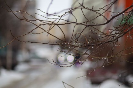 ������ 1 �����. ������� ��������� ������� ����� ������