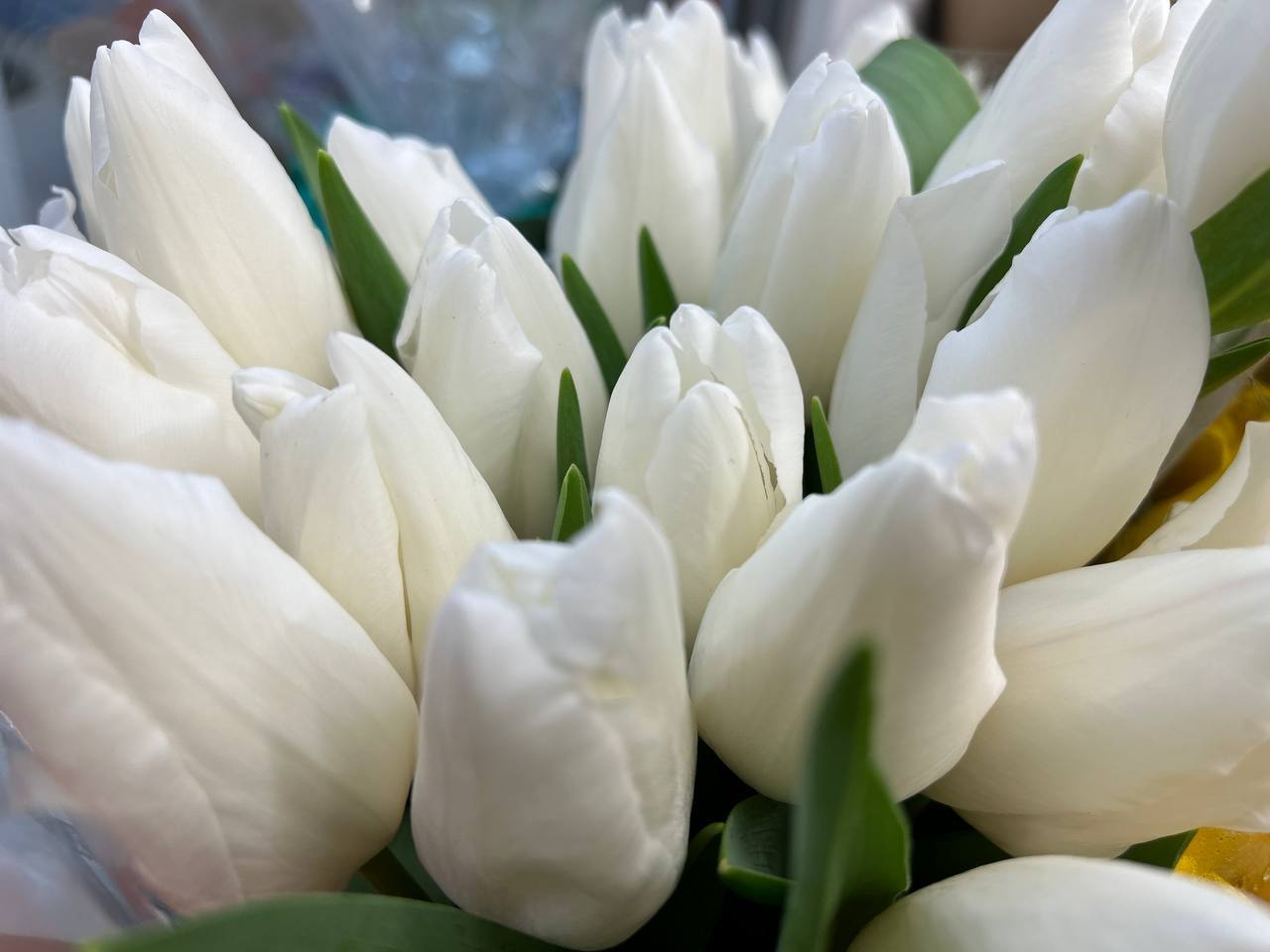 Сегодня наступил долгожданный первый день весны! После долгой зимы природа пробуждается, солнце светит ярче, воздух наполняется свежестью и надеждой на лучшее будущее Сегодня наступил долгожданный первый день весны! После долгой зимы природа пробуждается, солнце светит ярче, воздух наполняется свежестью и надеждой на лучшее будущее