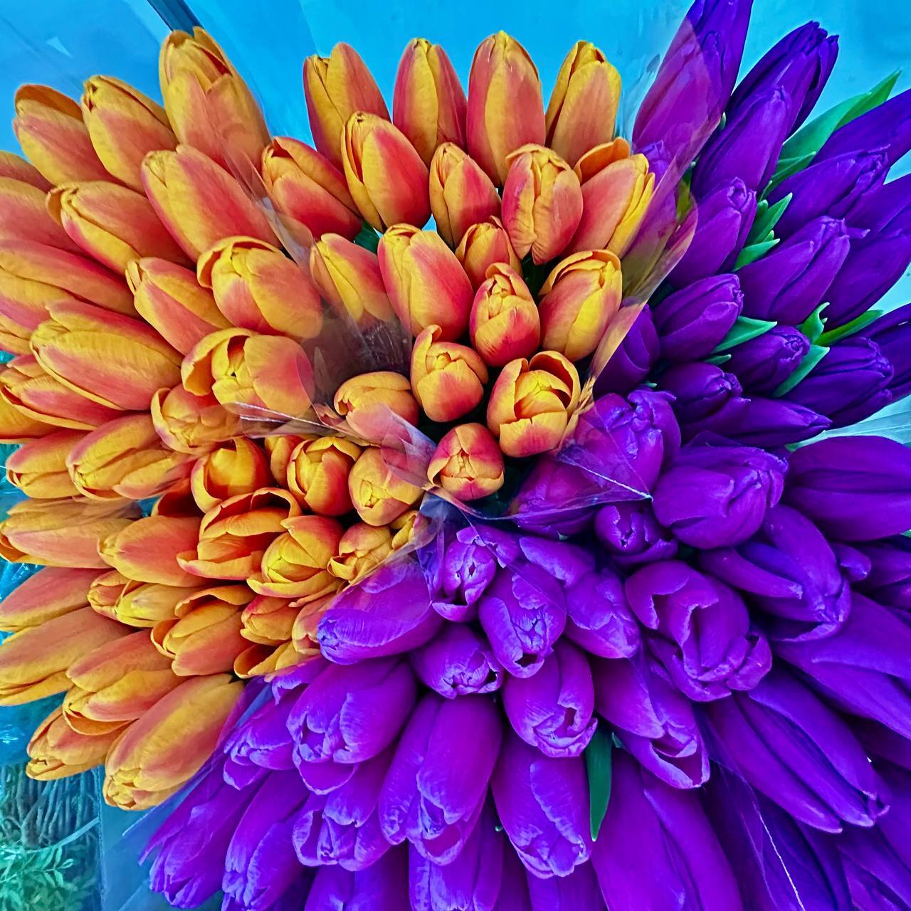 Сегодня наступил долгожданный первый день весны! После долгой зимы природа пробуждается, солнце светит ярче, воздух наполняется свежестью и надеждой на лучшее будущее Сегодня наступил долгожданный первый день весны! После долгой зимы природа пробуждается, солнце светит ярче, воздух наполняется свежестью и надеждой на лучшее будущее