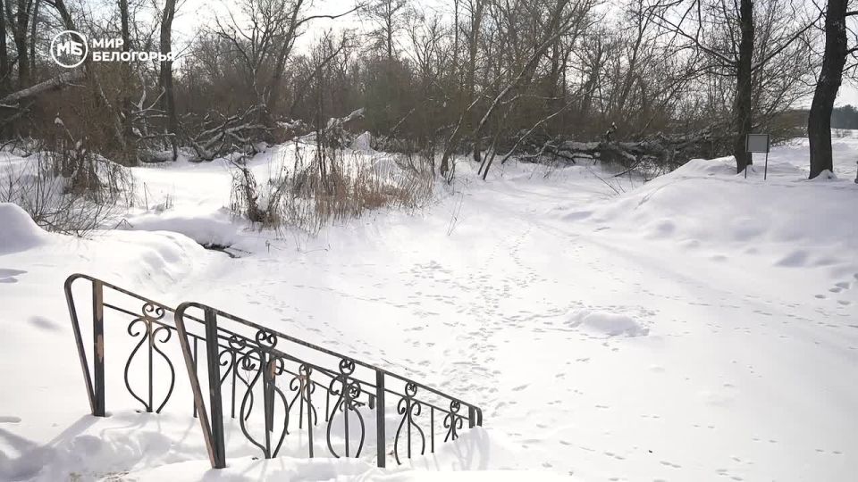 «Всё путём». Выпуск №7. Какие нарушения отслеживают комплексы видеофиксации «Кордон.Про»? Что делать, если на холоде разрядился аккумулятор? Почему название реки на придорожном знаке вызывает удивление и интерес? Кто они...