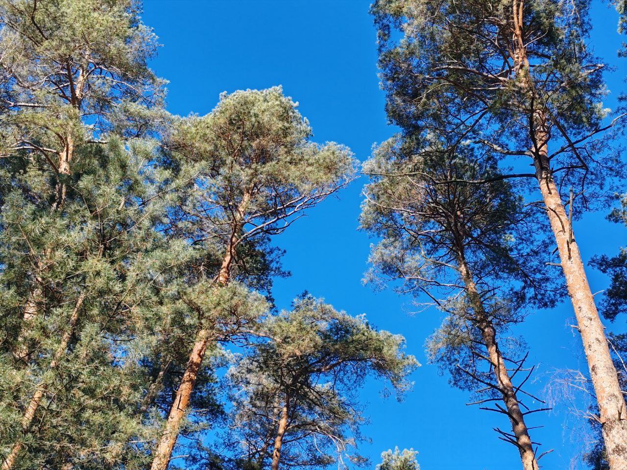Сегодня, 2 марта, будет облачно с прояснениями