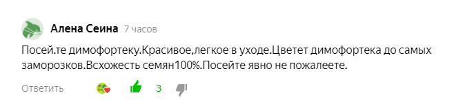 Диморфотека и остеоспермум: Как разобраться в различиях и выбрать идеальный цветок для вашего сада