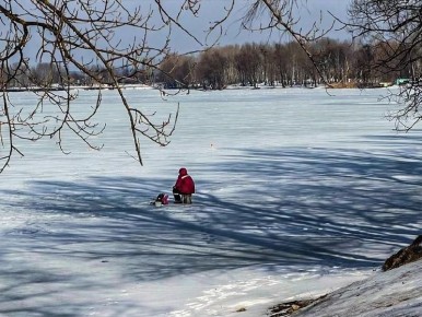 ��������� ������� �������� �� �������� ��������� � ����� � �����������