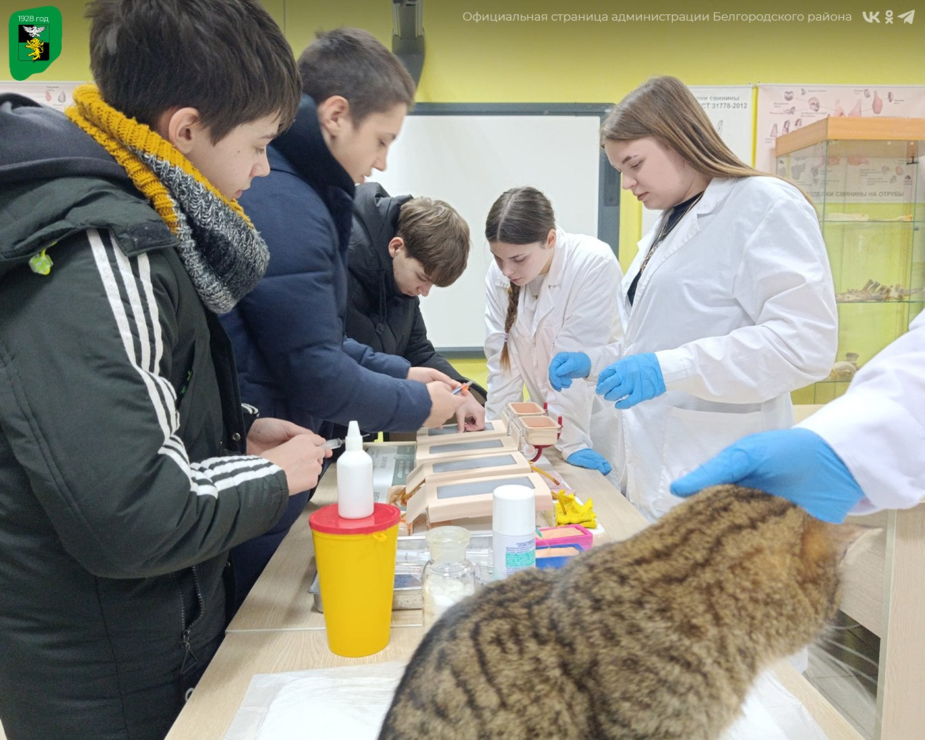 Учащиеся Хохловской школы приняли участие в профориентационной экскурсии Учащиеся Хохловской школы приняли участие в профориентационной экскурсии