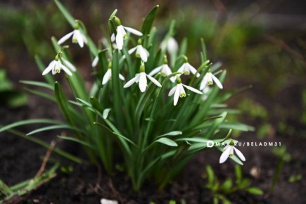 Доброе утро, Белгород!. Сегодня за окном солнце, малооблачно