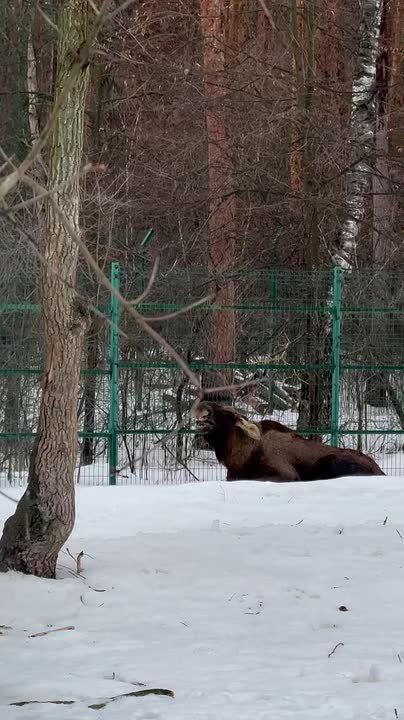 �������������� ���������. ���� ������ ��� ��, ��� � ��� �� ����� �� ������ ������ ����� � ����� ���������, �� ��� ������������� ���������� ��������