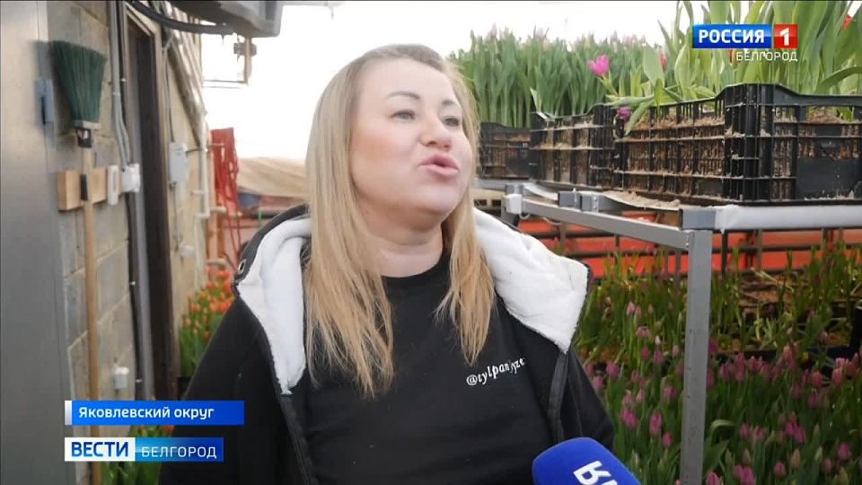 �������, �����������, �����������: � ��������� ����� ������� �� ������������ ������ � 23 ����� ���������