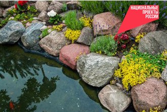 В 2026 году в селе Остроухово будет благоустроен родник