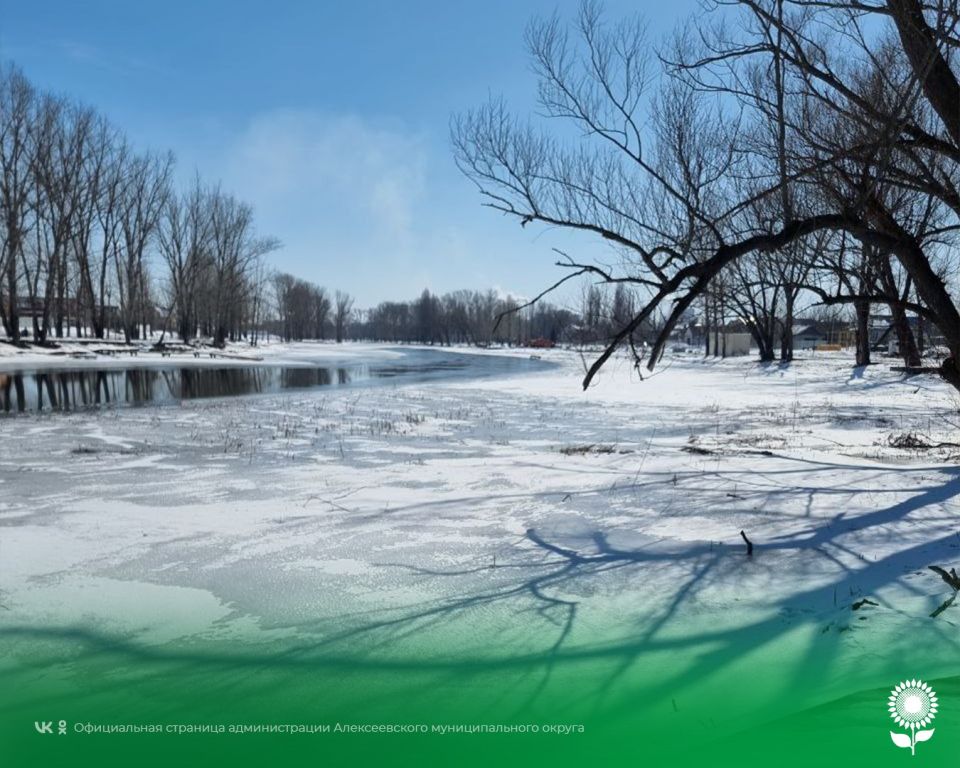 3 �����. ����������� ������� 1�C, �������, ��������� ����