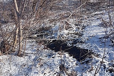 В 2026 году в селе Остроухово будет благоустроен родник В 2026 году в селе Остроухово будет благоустроен родник