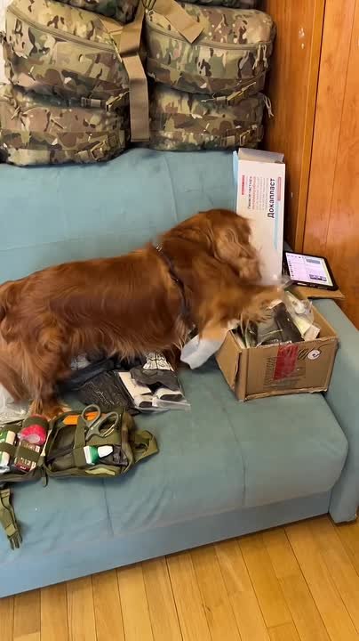 Юлия Витязева: Сегодня отгружаем рюкзаки, аптечки и сумки нашим танкистам