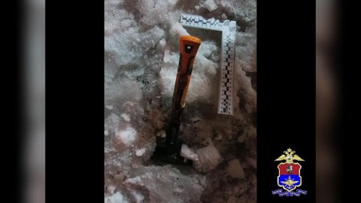 Жителю Белгородской области за поджог тепловоза в Старом Осколе вменяется совершение теракта