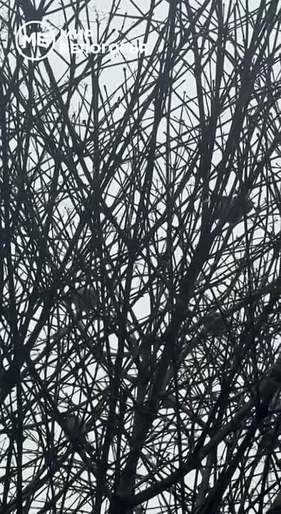 ������ 4 �����. ������� ��������� ������� �������� ������