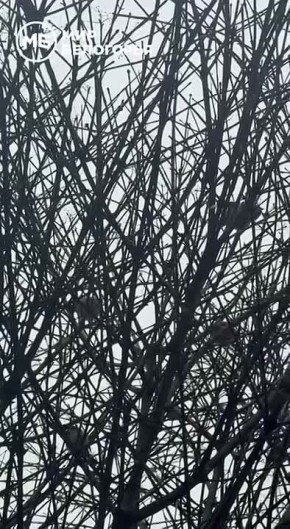 ������ 4 �����. ������� ��������� ������� �������� ������