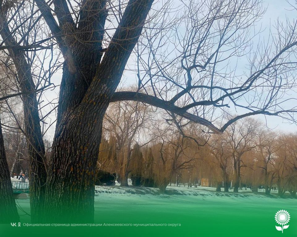 4 �����. ����������� ������� 0�C, �����������, ��� �������