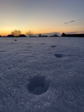 На улице еще морозно, но мысль, что наступила весна радует душу