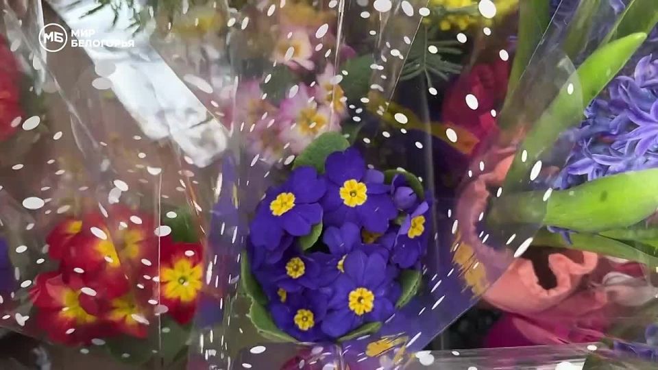 ���� ���������� �������� �� ��������� ������� � ���������