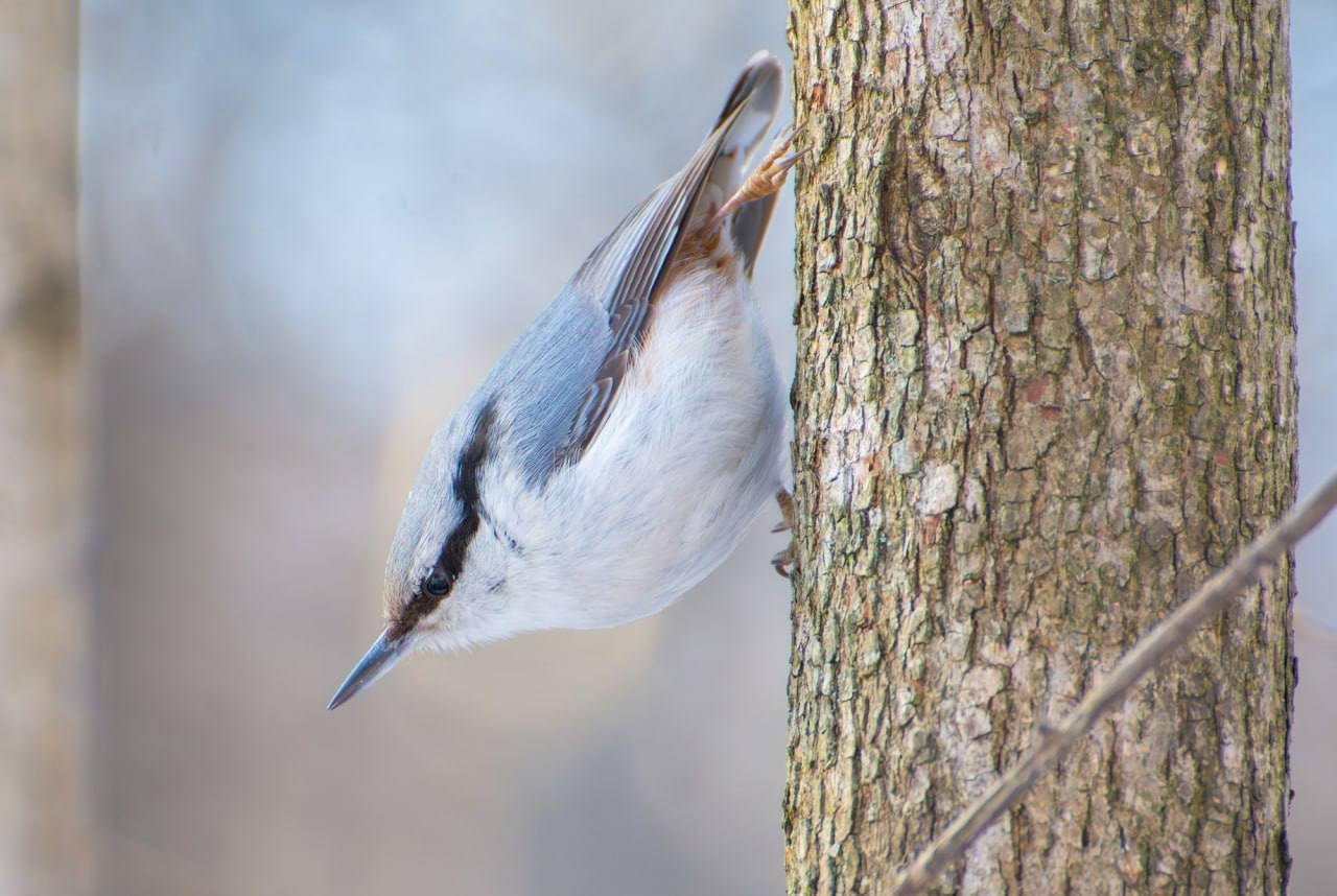 Доброе утро, Белгород!. В четверг 5 марта в городе малооблачная погода