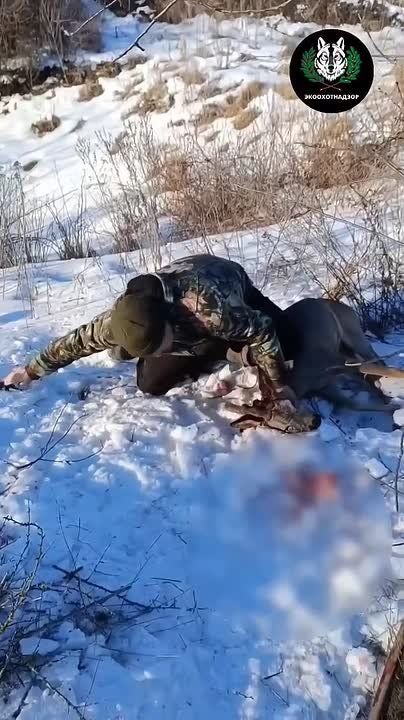 � ������������� ������ ������� ���� ������ �� �����