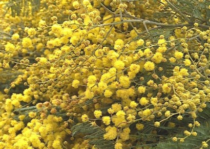 �������, 6 �����, ����� �������� � ������������ ������