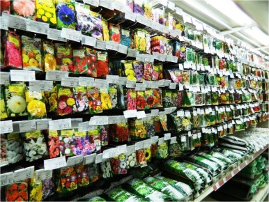 ��� ���������� ����� ������ �� ����� ����������