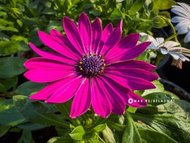 ������ ����, ��������!. �������, 6 �����, ����� ���� �� ������ �������� ��� �������