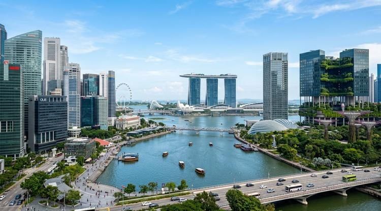 ��� ����������� ������ ��������?