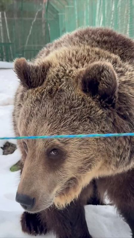 � ������������ �������� � ����������� �������� �����