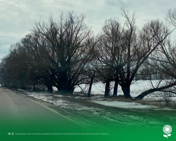 7 �����. ����������� ������� 1�C, �������, ��� �������