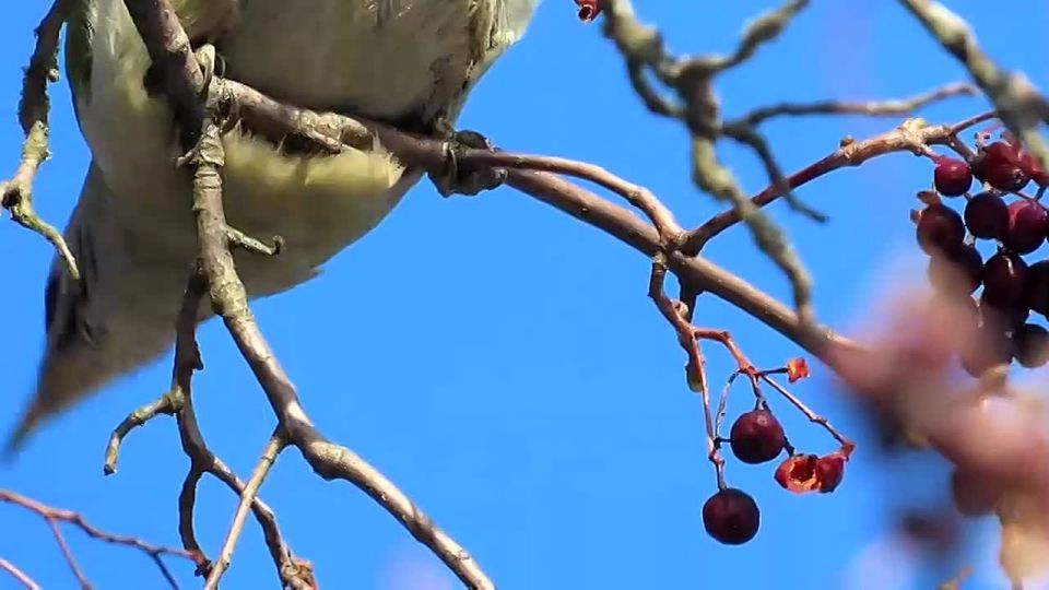 ������ 7 �����. ������� ��������� ������� ���������� ����������