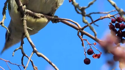 ������ 7 �����. ������� ��������� ������� ���������� ����������