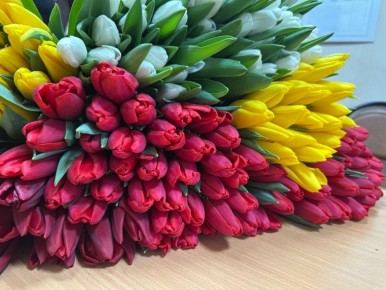 ������� ���������: ������� �������� - ����� ����� ������!