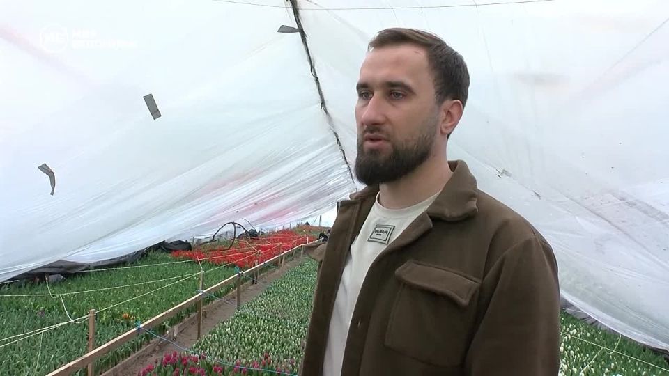 �������� 8 ����� ������ ����� �� ������