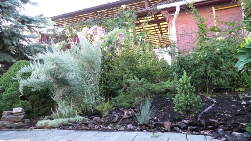 ���������� ������ ��������: ��� �������� ��� � ���������� ����