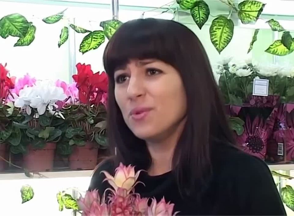 �����, ���������, ������������� �������� � ����� �����