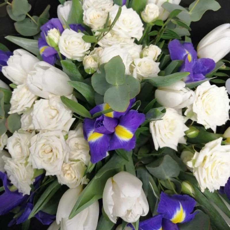 ������� ������� ������ ������!