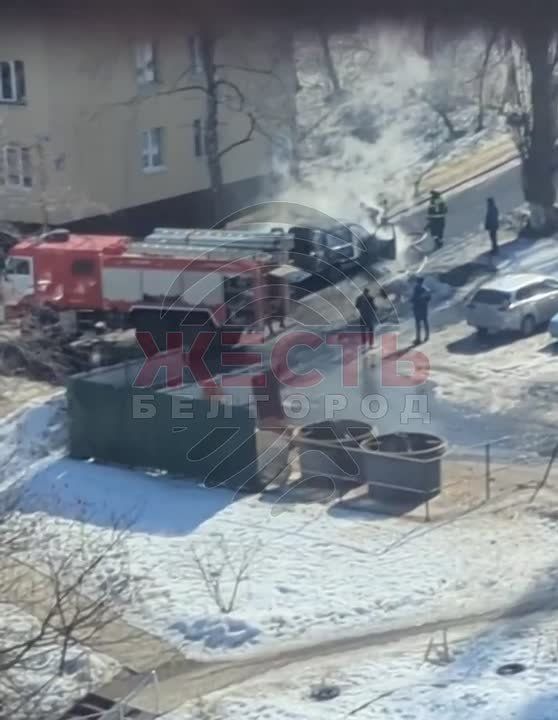 �� ����� 5 ������� � ��������� ���������� ������